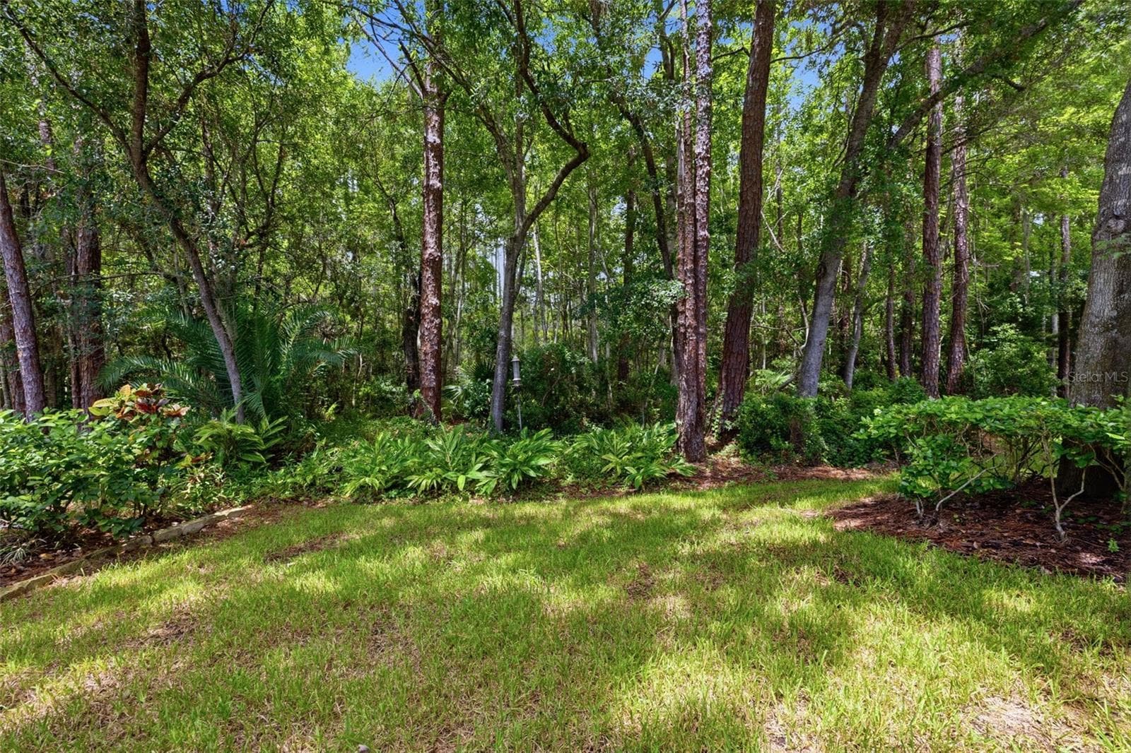 14613 Mirabelle Vista Cir photo 2