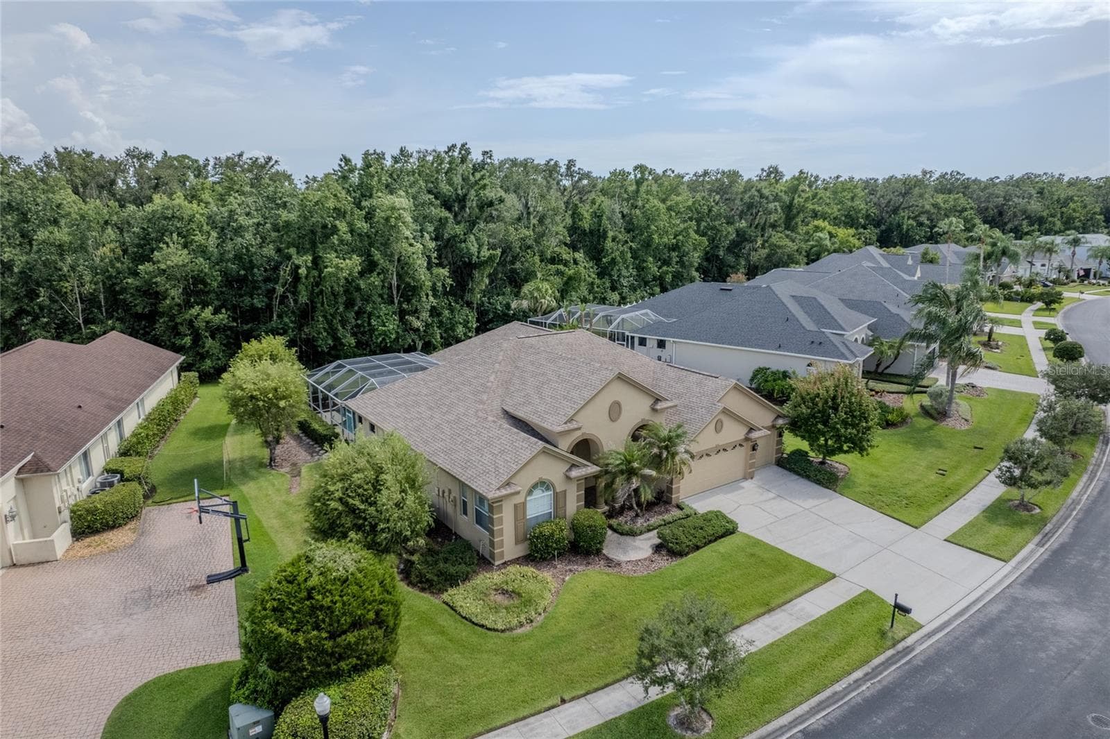 26920 Winged Elm Dr photo 3