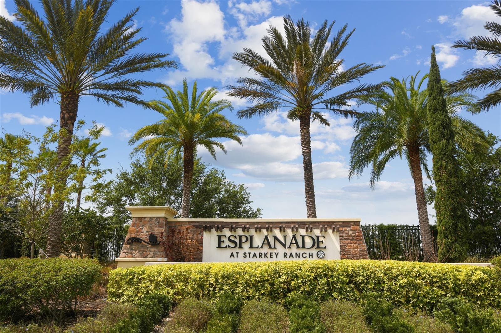 11503 Callisia Dr photo 2