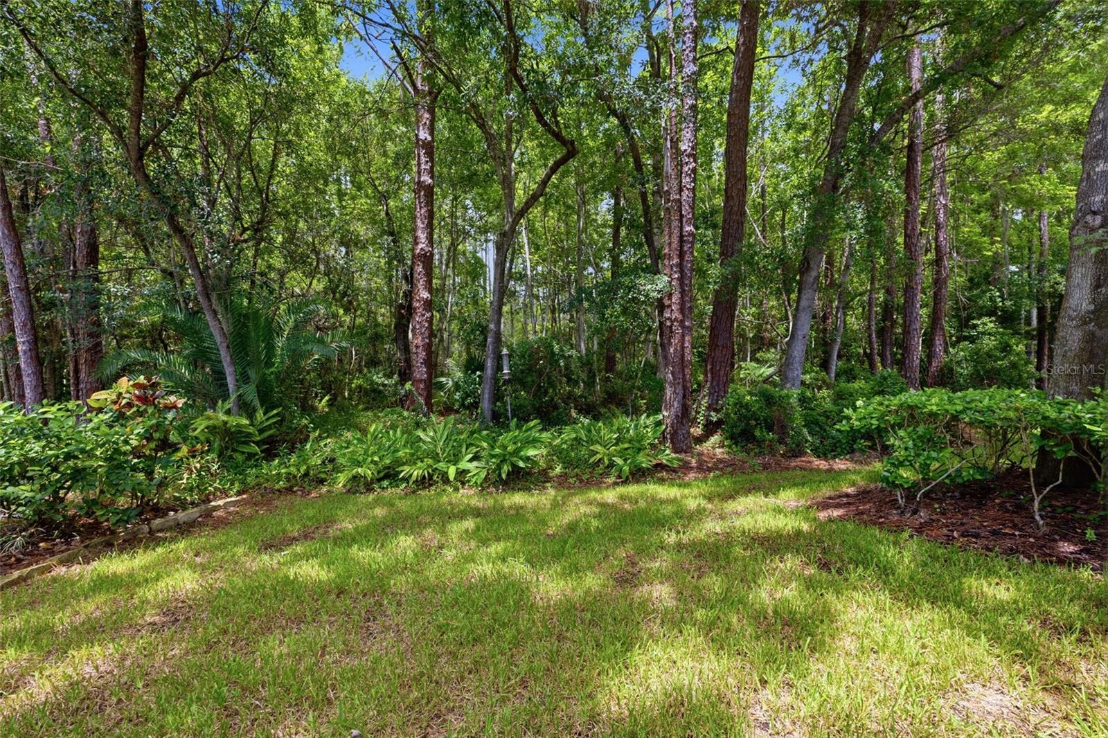 14613 Mirabelle Vista Cir